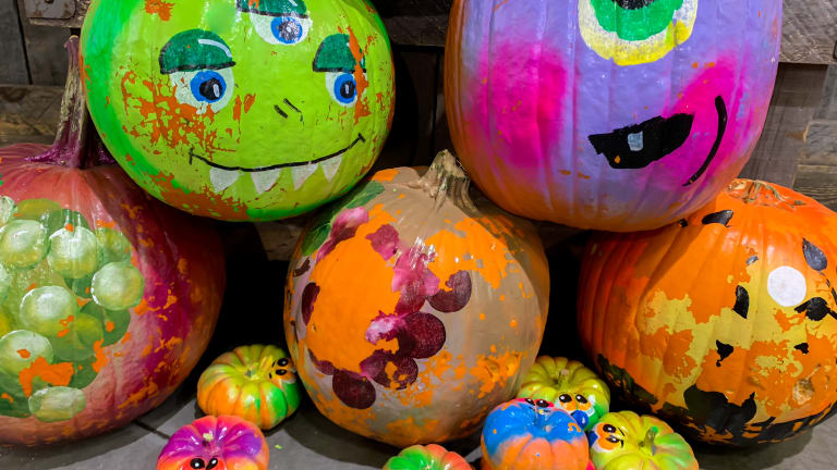 6 Last Minute No Carve Pumpkin Decorating Ideas Momtrends