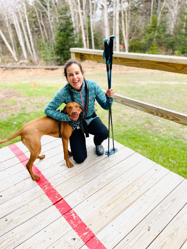 do vizslas make good family pets