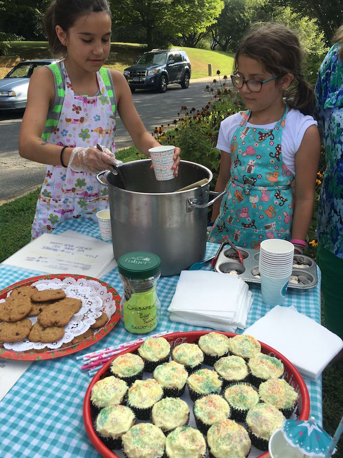 lemonade stand games for girls