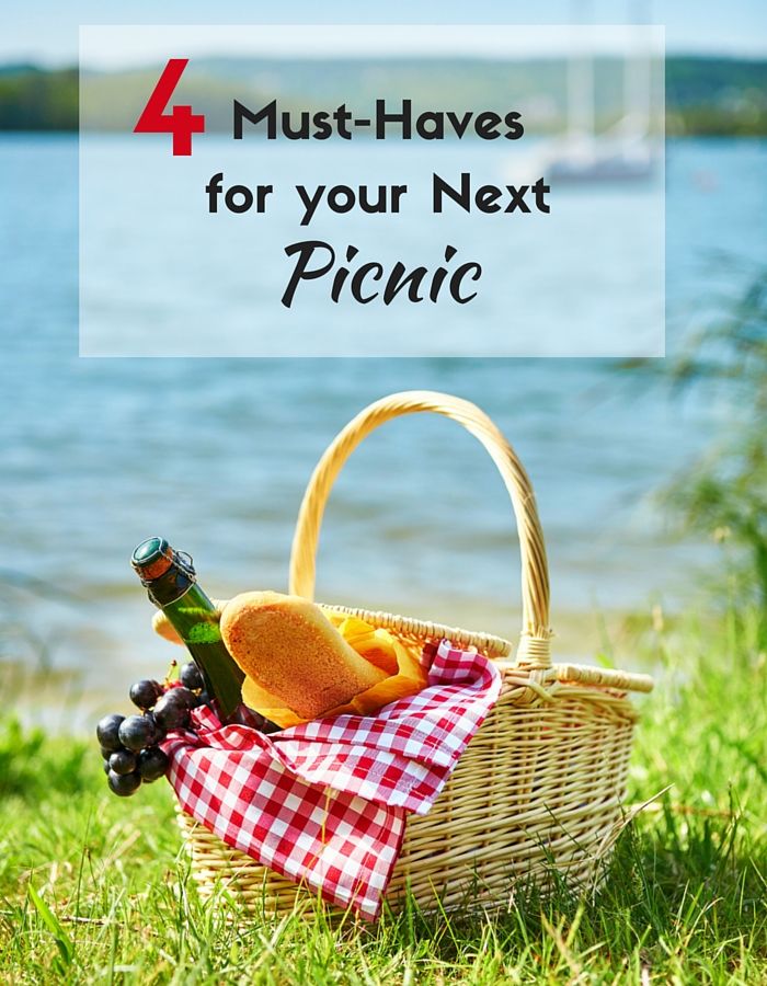 4 Must-Haves For Your Next Picnic - MomTrends