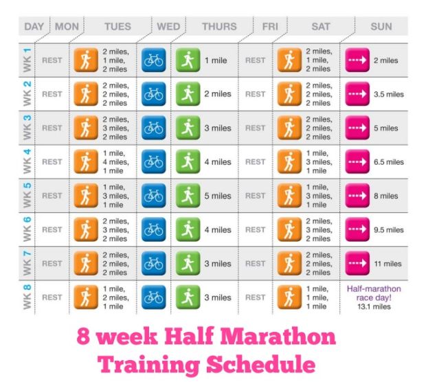 doctors in training step 2 schedule