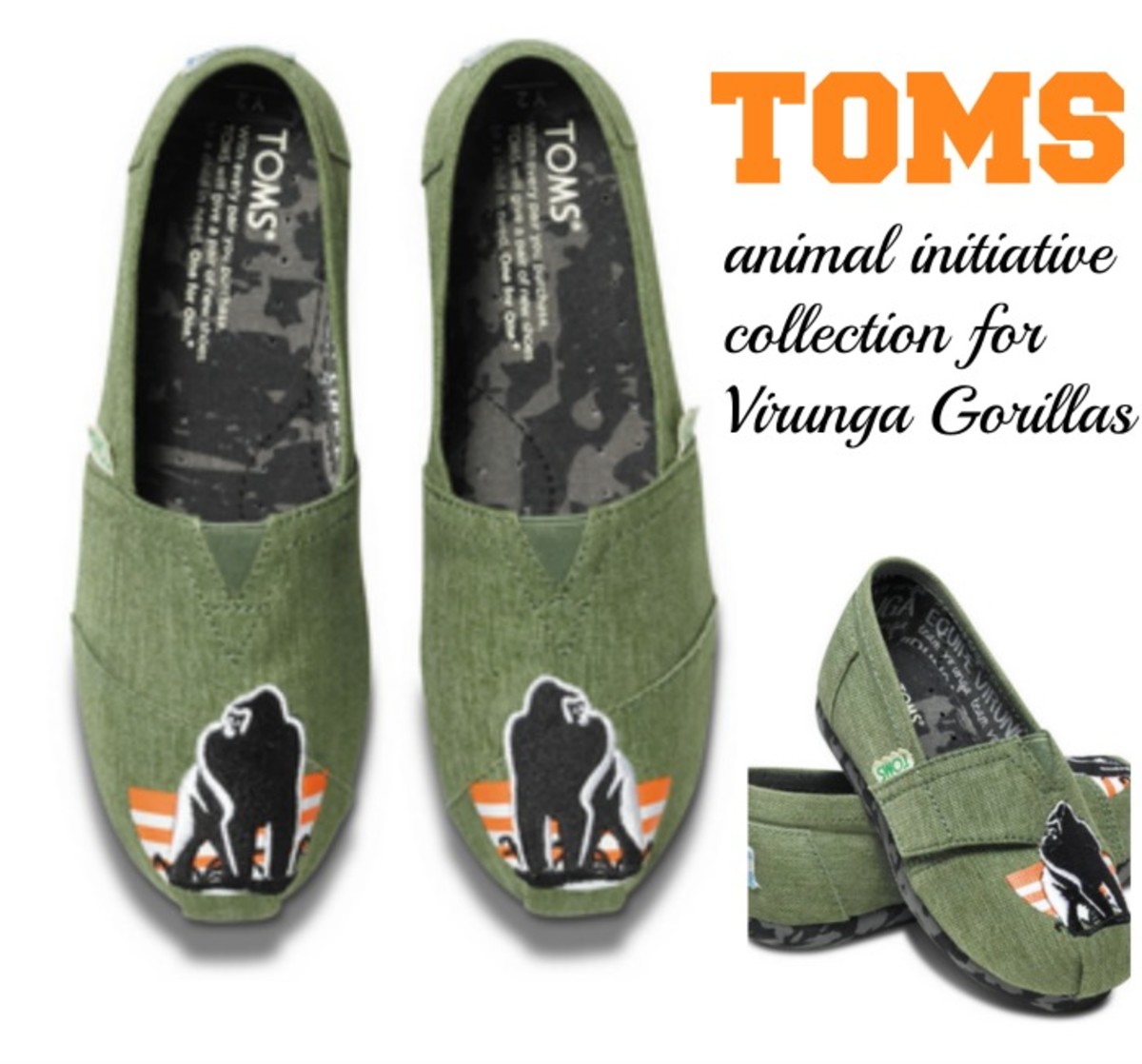 toms animal initiative