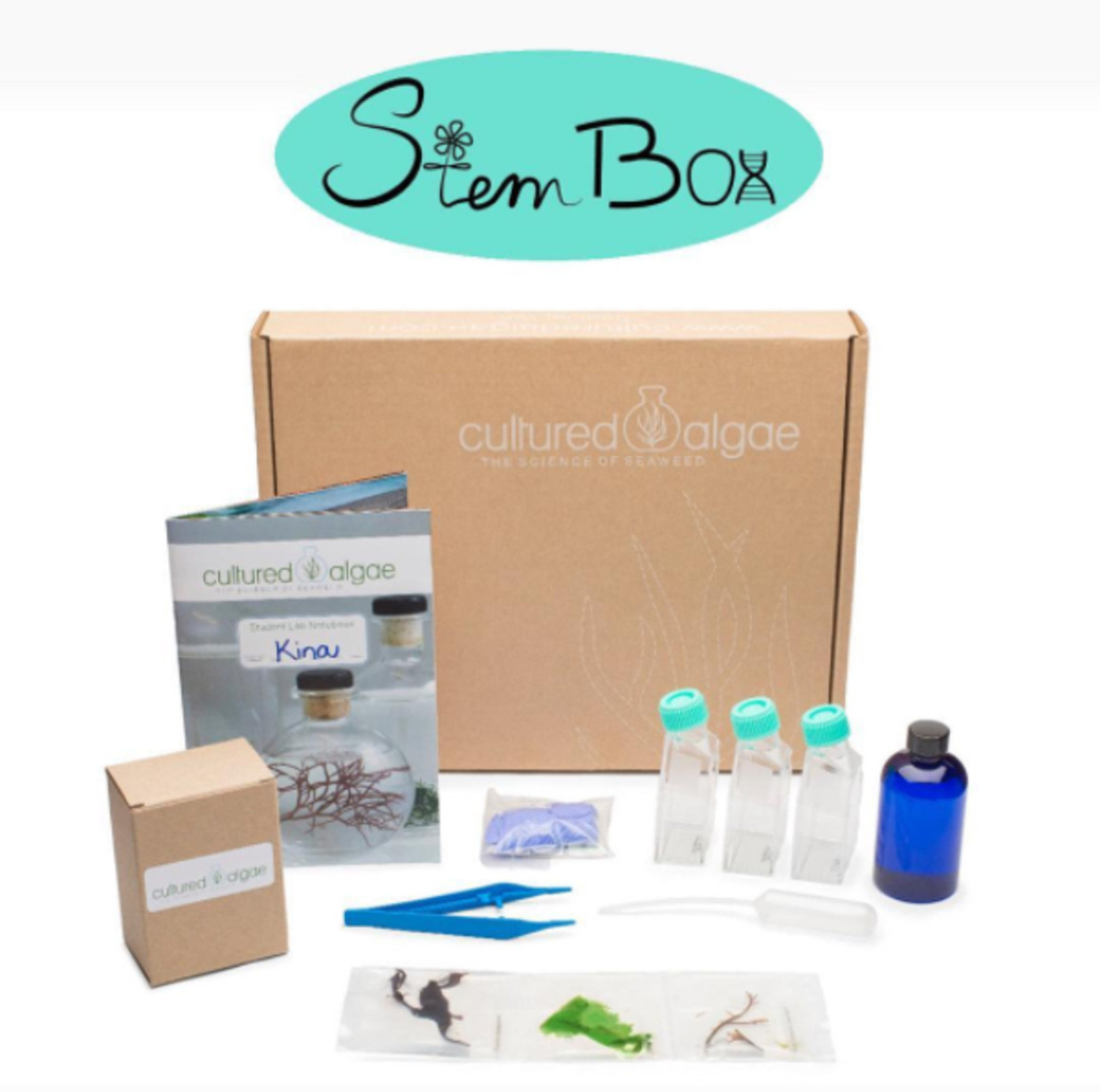 stem toy subscription box