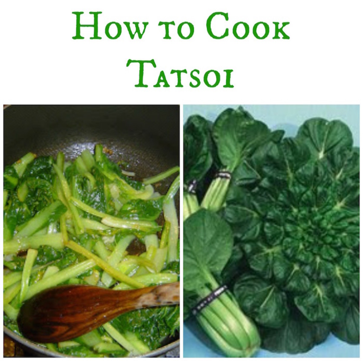 Best Tatsoi Recipes Besto Blog   How To Cook Tatsoi 