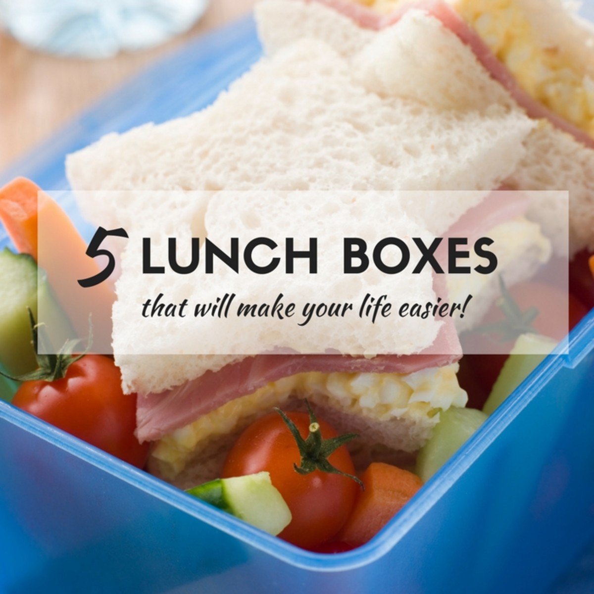 5 Lunch Boxes to Make Your Life Easier - MomTrendsMomTrends